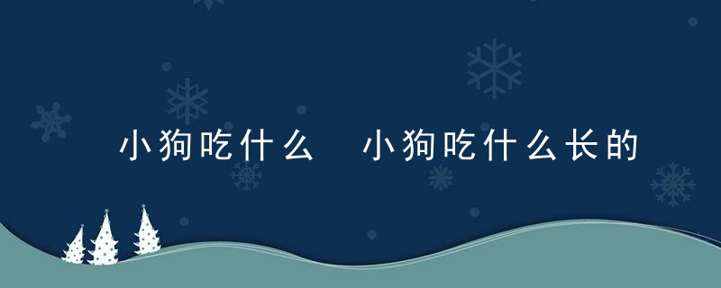 小狗吃什么 小狗吃什么长的胖又长的快